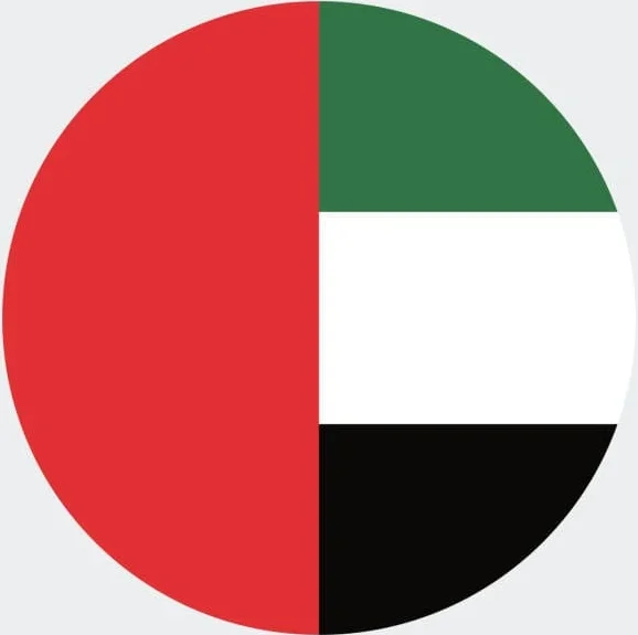 Dubai Flag